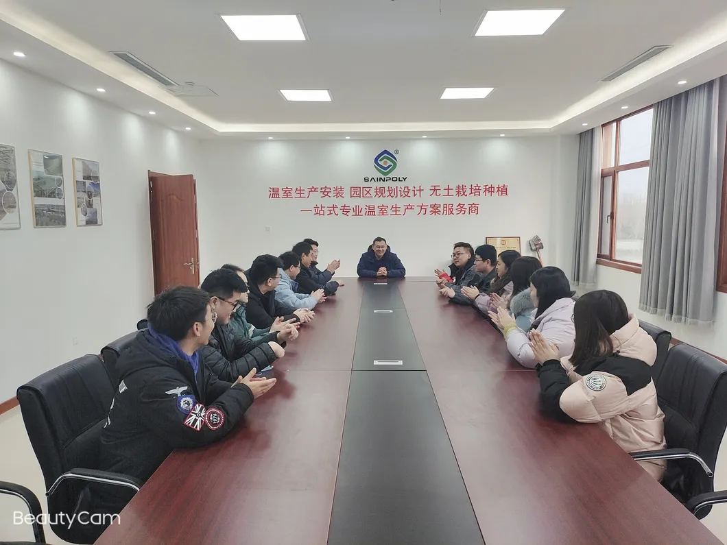 China Factory Price Professional Glass Greenhouse