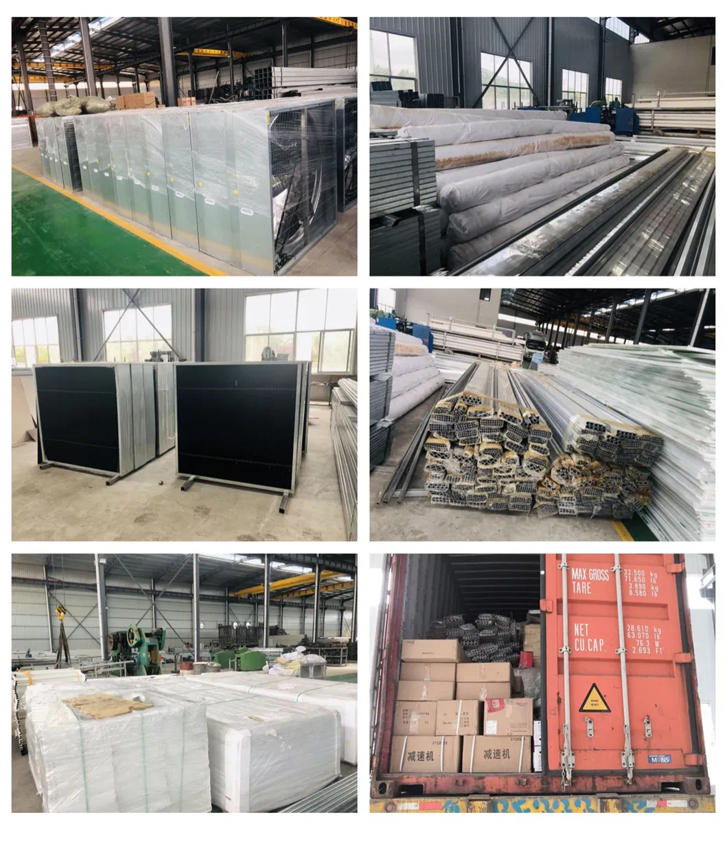 China Factory Price Professional Glass Greenhouse