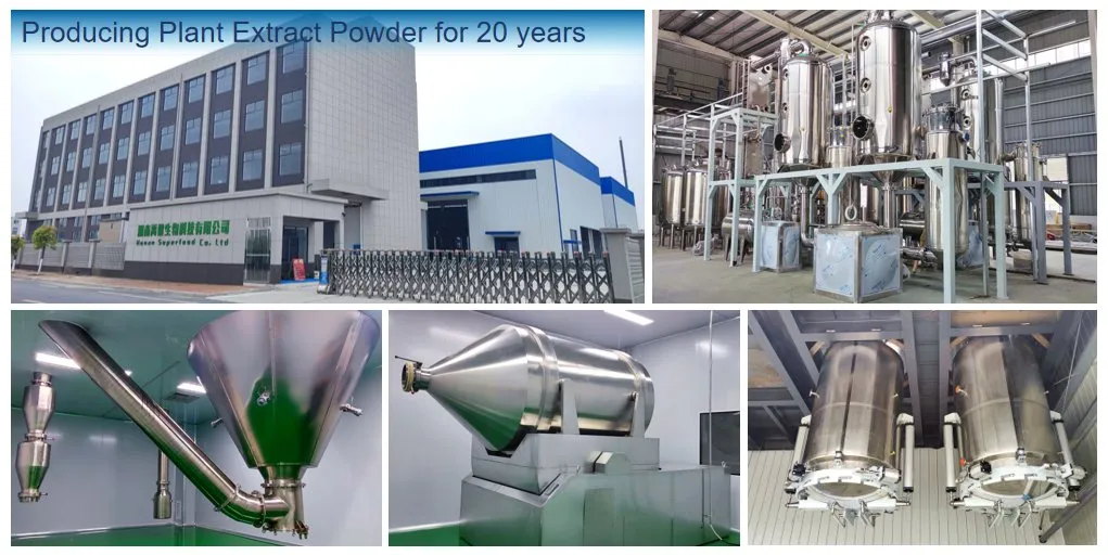 Free Sample Extract Powder Hot Sale Premium Henna Powder for Commercial Buyers