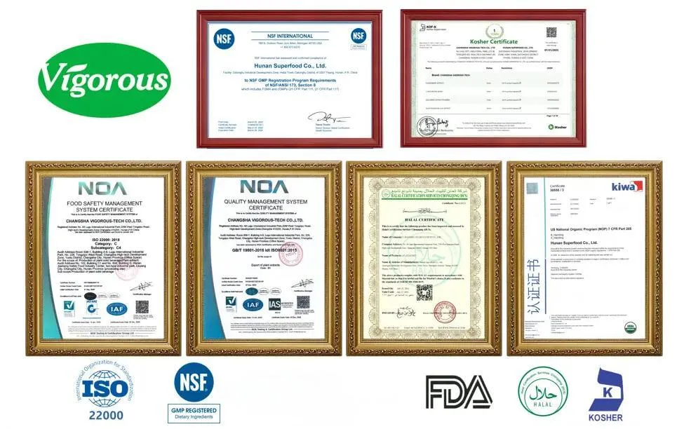 Free Sample Extract Powder Hot Sale Premium Henna Powder for Commercial Buyers