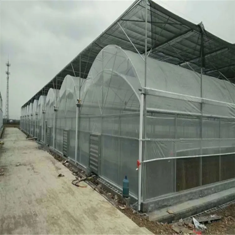 Hot-DIP Galvanized Steel Pipes Strong Long-Lasting Sturdy Multi-Span Plastic Film Greenhouse