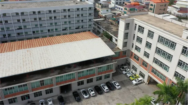 35g Caramel Flavor Tart-Shaped Wholesale Snack Sweets Juicy Jelly Gummy Chinese Candy