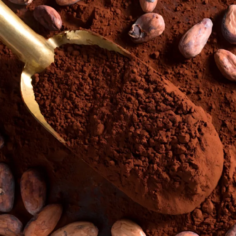 Natural/Alkalized Cocoa Powder Is Suitable for Baking Bread and Food Additives. Free Samples Are Available