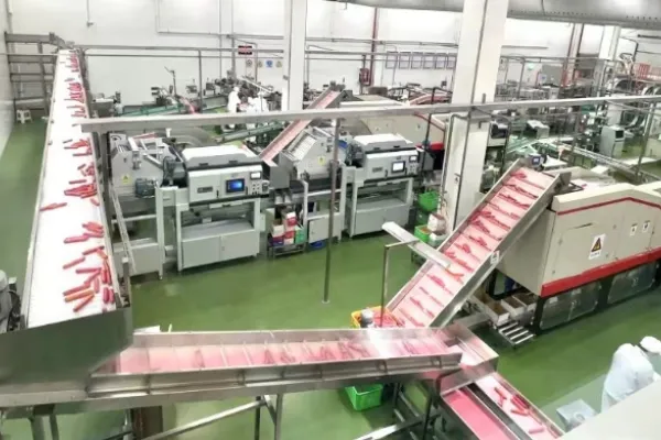 Selected Fresh Chicken Breasts and Fresh Vegetables Combined Into a Chicken and Vegetable Sausage