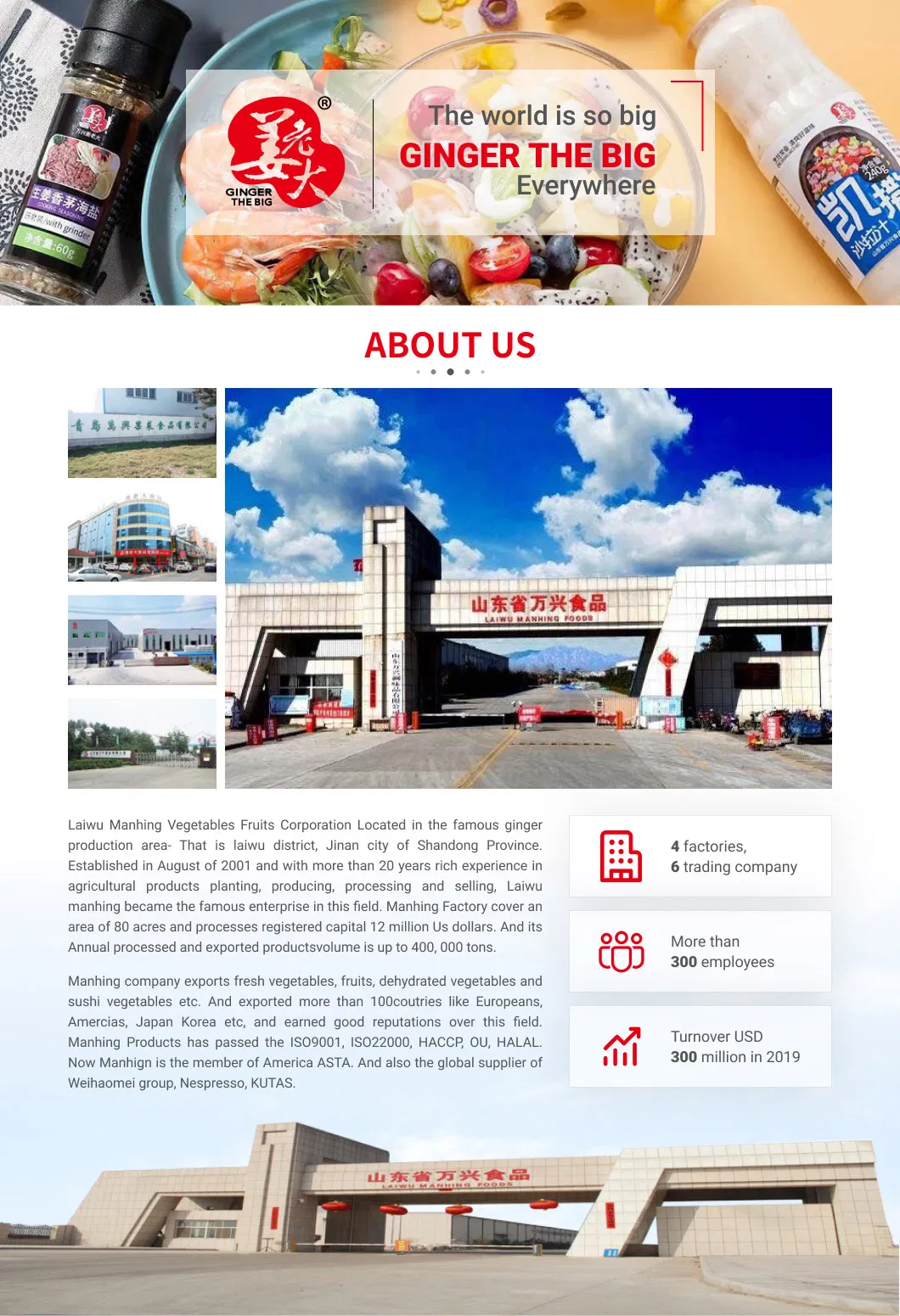 Top Quality Fried Garlic Granules Crispy Fried Garlic Flakes Withroot BRC/Halal Factory