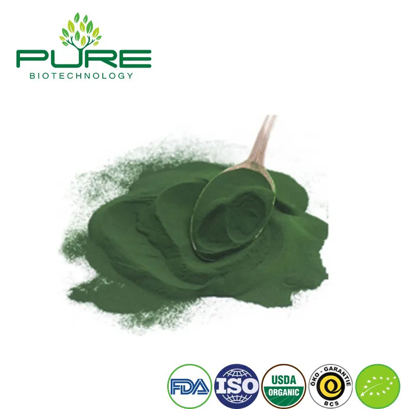 Pure Chlorella Superfood Powder for Ultimate Health Boost