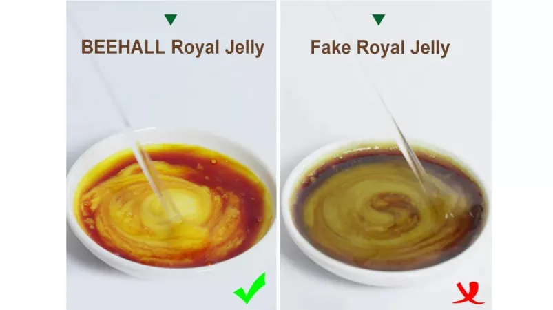 Beehall Basic Sample Customization Pure Natural Bulk Royal Jelly with GMP Factory