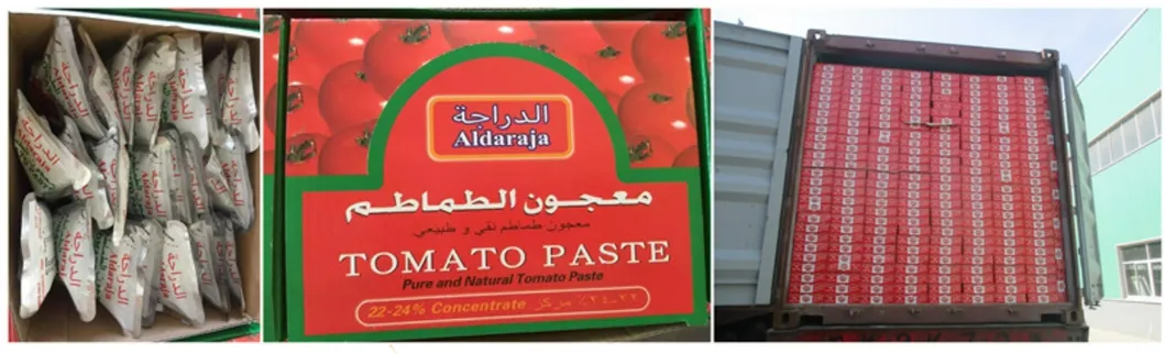 Brix 22-24 Tomato Paste 70g Price in Stand Pouch