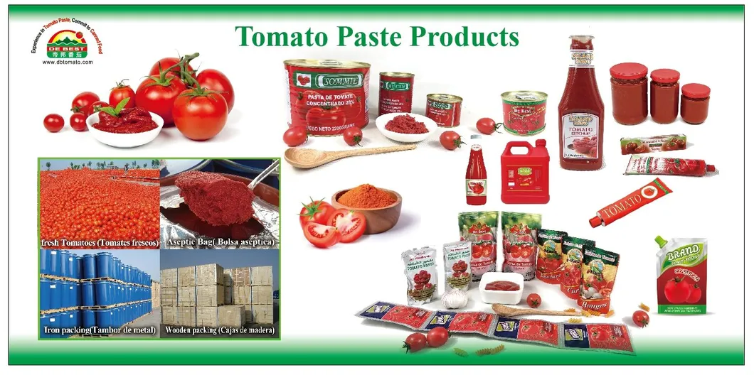 Brix 22-24 Tomato Paste 70g Price in Stand Pouch
