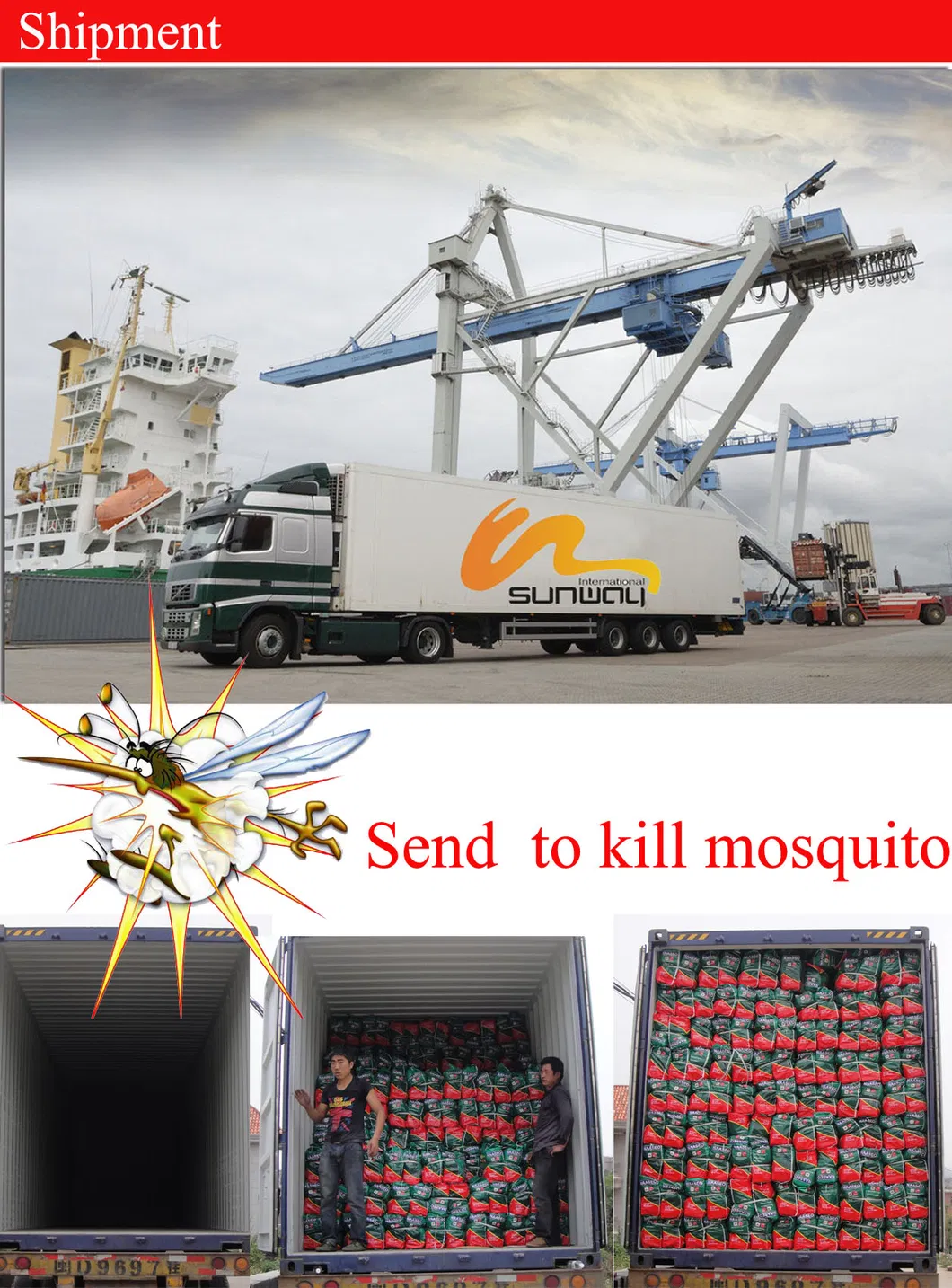 Plant Fiber Mosquito Coil Pest Control Repellent Natural Paper Mosquito Coil