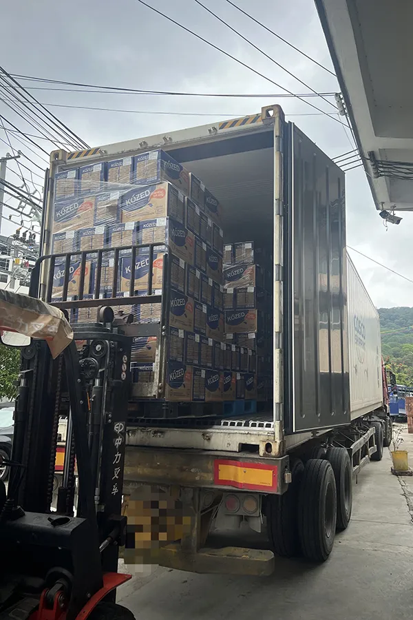 Frozen Animal Skinned Gummy Candies Individually Packed Fruit Juice Jelly Candy