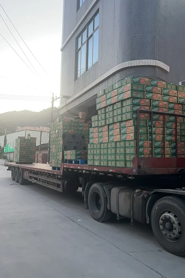 Frozen Animal Skinned Gummy Candies Individually Packed Fruit Juice Jelly Candy