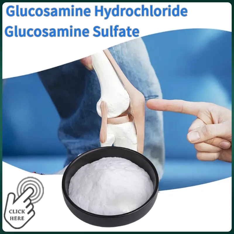 Chondroitin Sulfate Sodium Powder USP Ep 90% 95% 98% Halal CAS: 9007-28-7