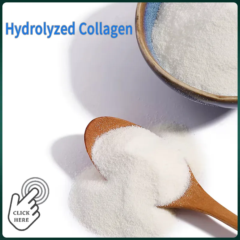 Chondroitin Sulfate Sodium Powder USP Ep 90% 95% 98% Halal CAS: 9007-28-7