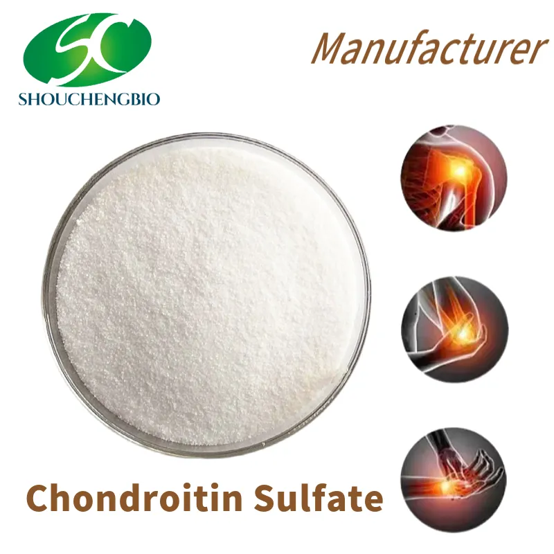 Chondroitin Sulfate Sodium Powder USP Ep 90% 95% 98% Halal CAS: 9007-28-7