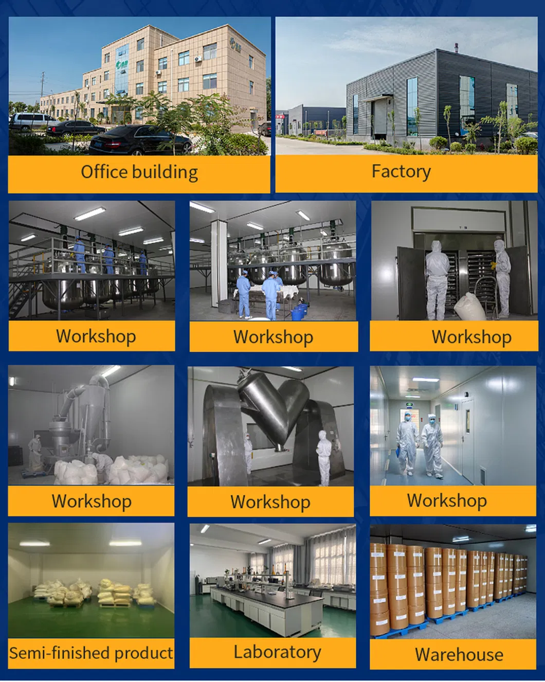 Chondroitin Sulfate Sodium Powder USP Ep 90% 95% 98% Halal CAS: 9007-28-7