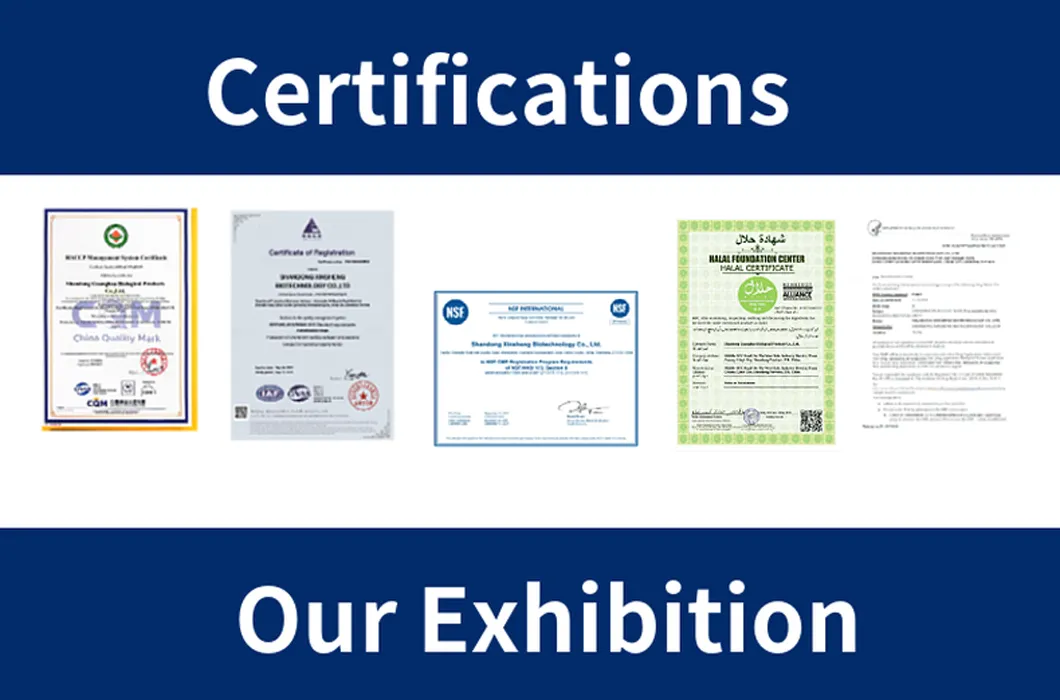 Chondroitin Sulfate Sodium Powder USP Ep 90% 95% 98% Halal CAS: 9007-28-7