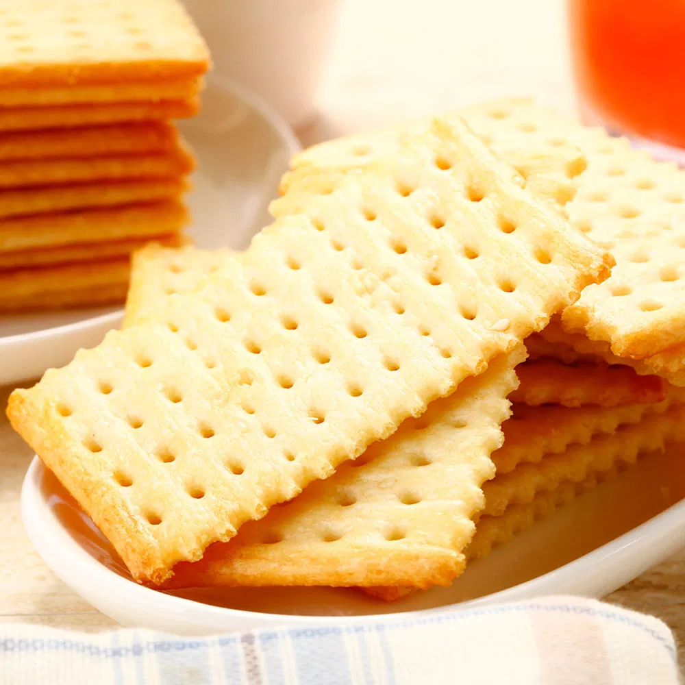 100g Sugar Free Rich in Calcium Soda Biscuit Soda Cracker