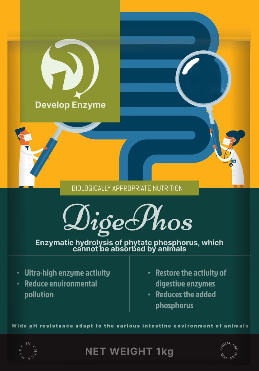 Factory Supply Livestock Poultry Feed Additive Thermostable Phytase Powder Granule Enzyme