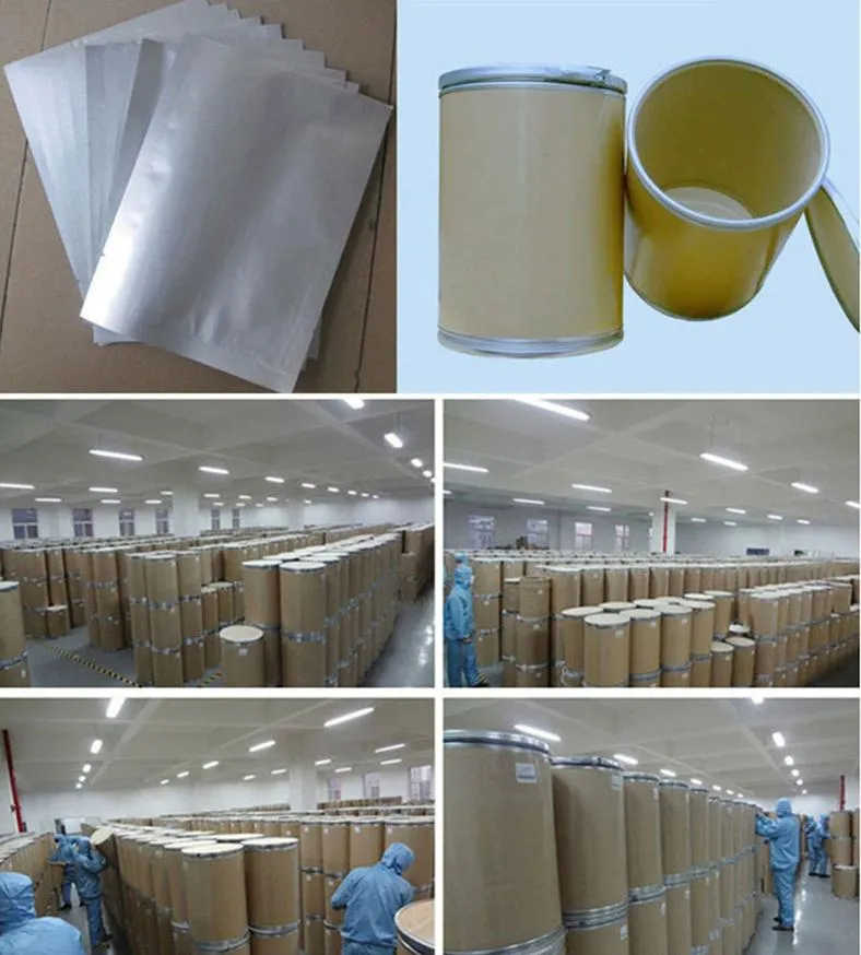 Wholesale Organic High Protein Herbal Extract Spirulina Tablet