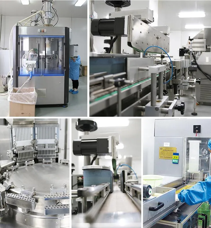 Wholesale Organic High Protein Herbal Extract Spirulina Tablet