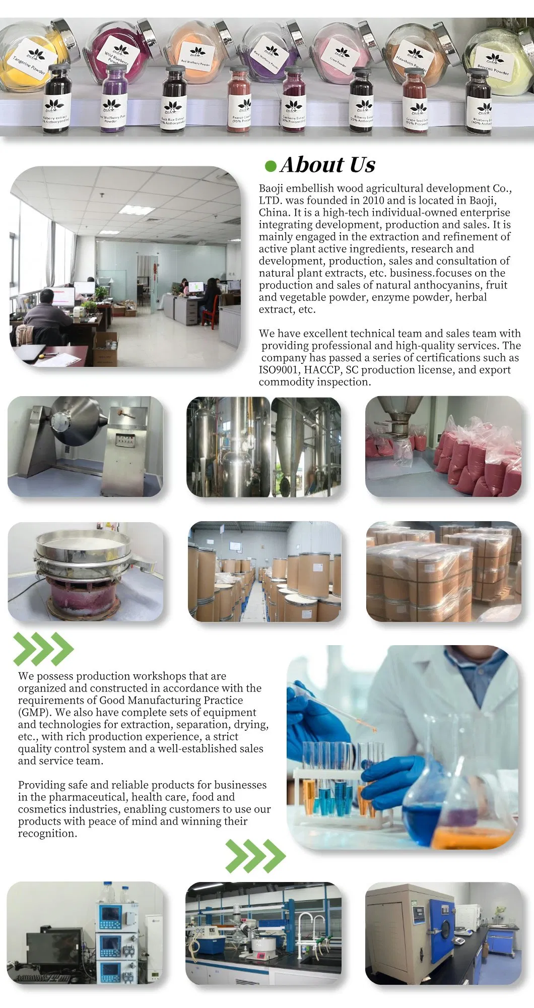 Premium noni extract powder for Vitality and Wellness