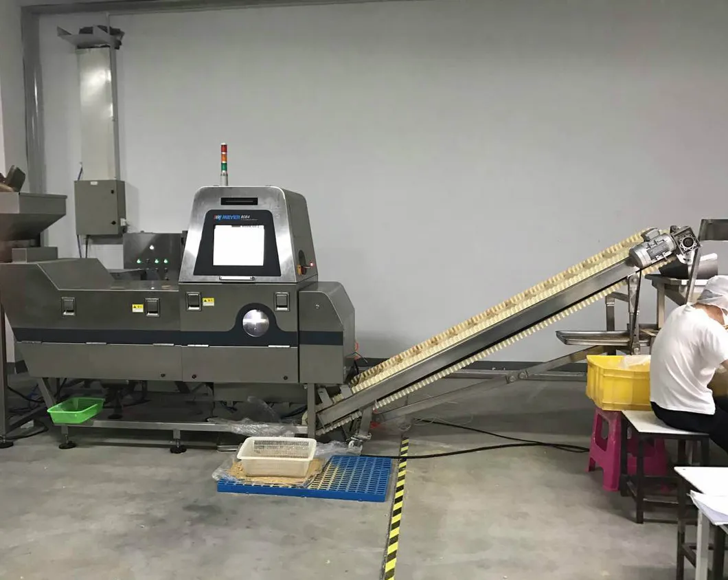 BBQ Flavor Coated Natural Roasted Edamame Manufacturer