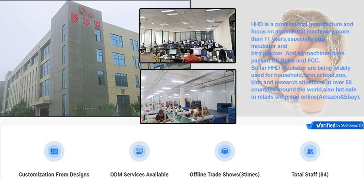 Hhd New Industrial Poultry Automatic Chicken Egg Incubator for Sale 1000