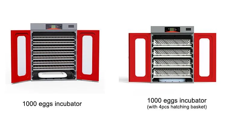 Hhd New Industrial Poultry Automatic Chicken Egg Incubator for Sale 1000