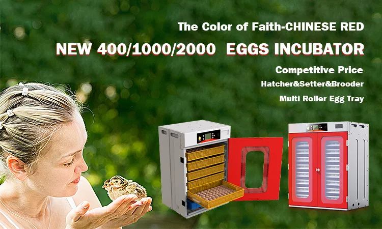Hhd New Industrial Poultry Automatic Chicken Egg Incubator for Sale 1000