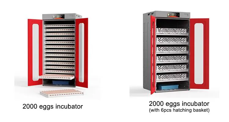 Hhd New Industrial Poultry Automatic Chicken Egg Incubator for Sale 1000