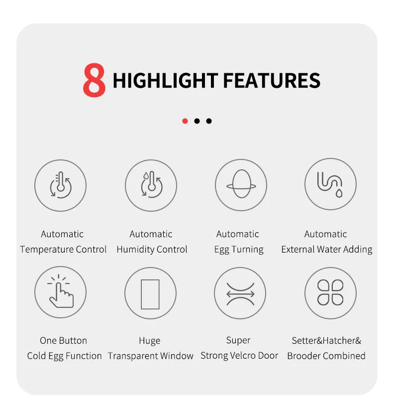 Hhd New Industrial Poultry Automatic Chicken Egg Incubator for Sale 1000