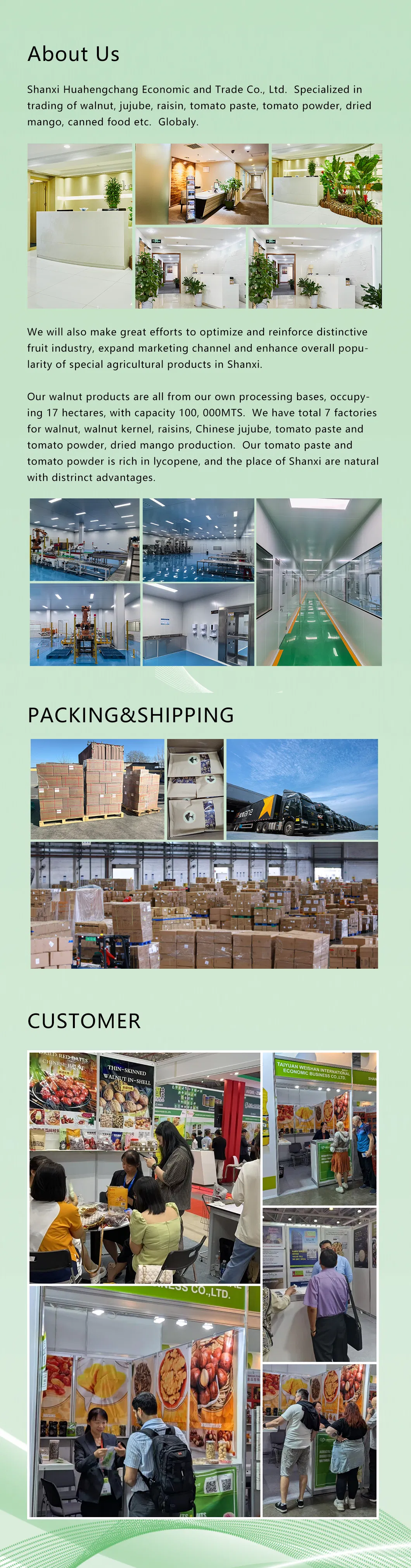 Soft Dried Mango Best Quality and Less Sugar Dried Mango Chips