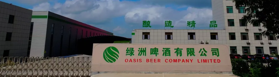 Attingberg Delightful Witbier White Beer 500ml Drink for Relaxation 3.6%Vol