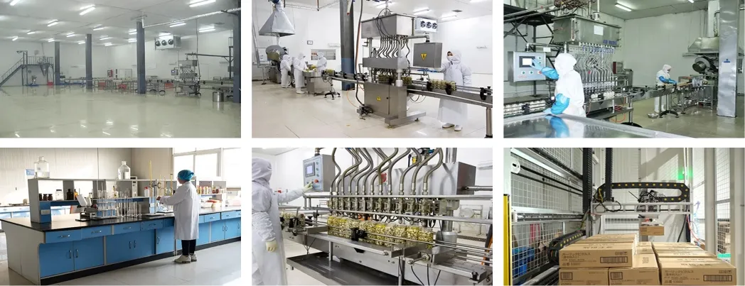 Sushi Ginger in Pink Colour & Natural Colour with Glass Jar