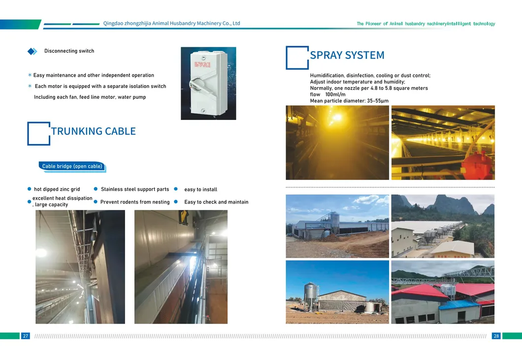 Automatic Design Trade a Type Layer Egg Chicken Cages for Poultry Farm Equipment 10000 Broiler Cage Chicken Broiler Cage Plastic Slats
