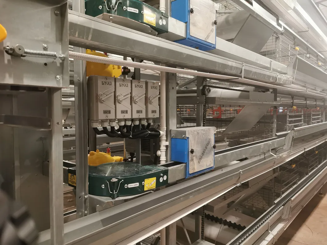 Automatic Design Trade a Type Layer Egg Chicken Cages for Poultry Farm Equipment 10000 Broiler Cage Chicken Broiler Cage Plastic Slats