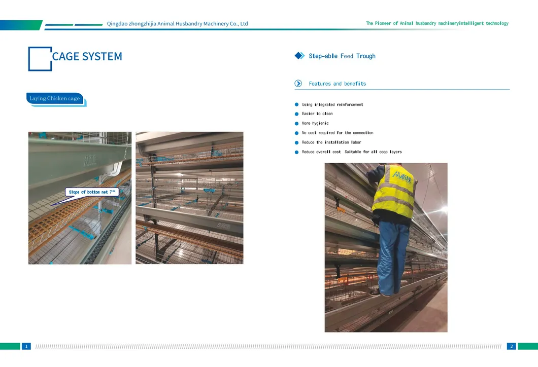 Automatic Design Trade a Type Layer Egg Chicken Cages for Poultry Farm Equipment 10000 Broiler Cage Chicken Broiler Cage Plastic Slats