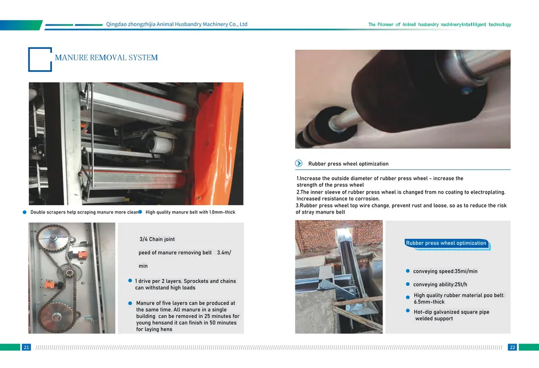 Automatic Design Trade a Type Layer Egg Chicken Cages for Poultry Farm Equipment 10000 Broiler Cage Chicken Broiler Cage Plastic Slats