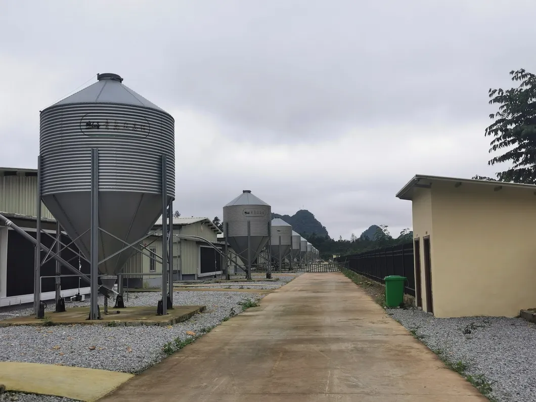 Automatic Design Trade a Type Layer Egg Chicken Cages for Poultry Farm Equipment 10000 Broiler Cage Chicken Broiler Cage Plastic Slats