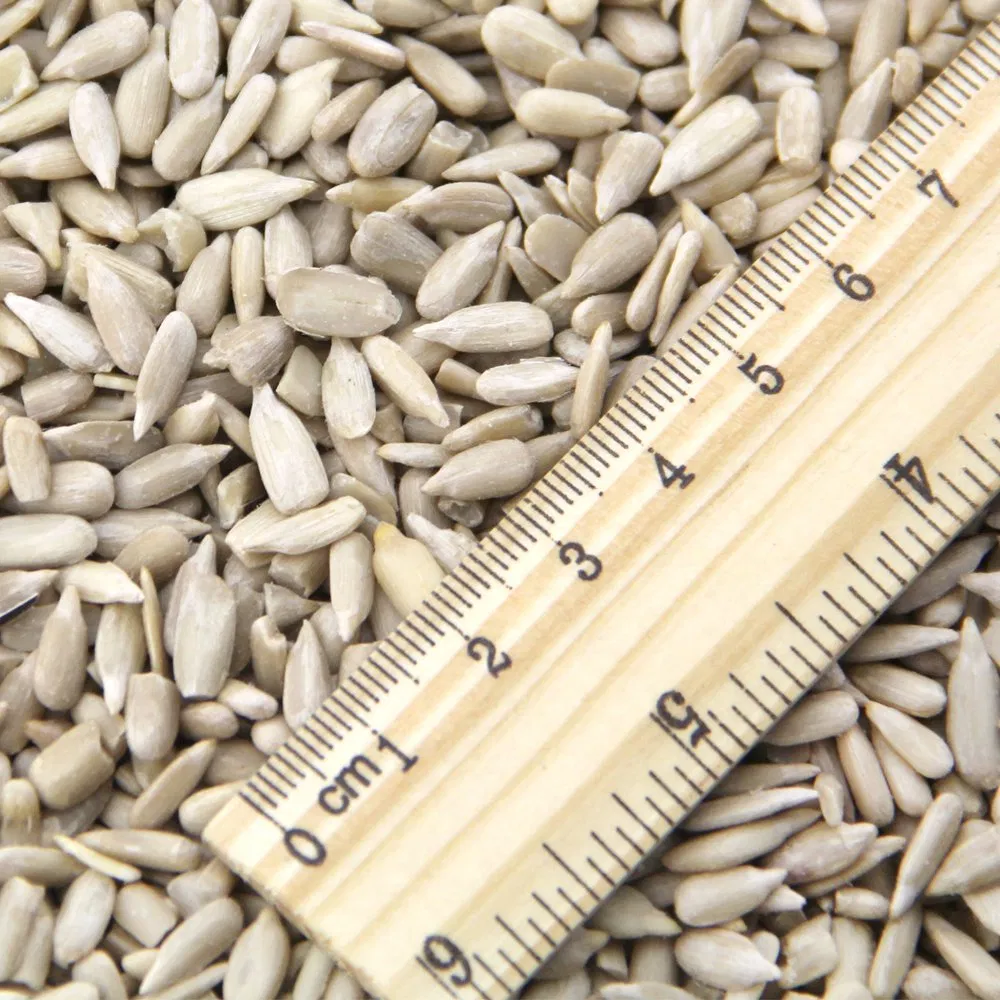 New Crop Health Food Sunflower Seeds Kernels for Confectionery Grade & Bakery Grade