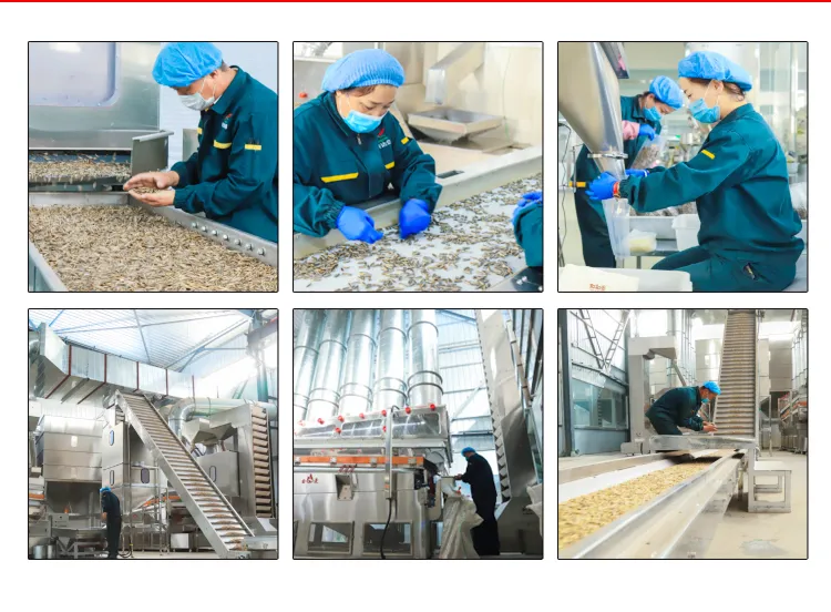 New Crop Health Food Sunflower Seeds Kernels for Confectionery Grade & Bakery Grade