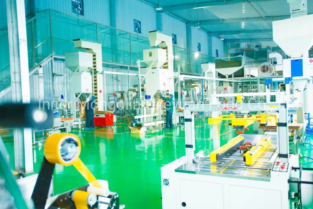 New Crop Health Food Sunflower Seeds Kernels for Confectionery Grade & Bakery Grade