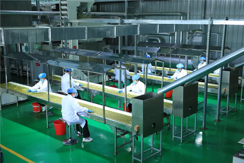 New Crop Health Food Sunflower Seeds Kernels for Confectionery Grade & Bakery Grade