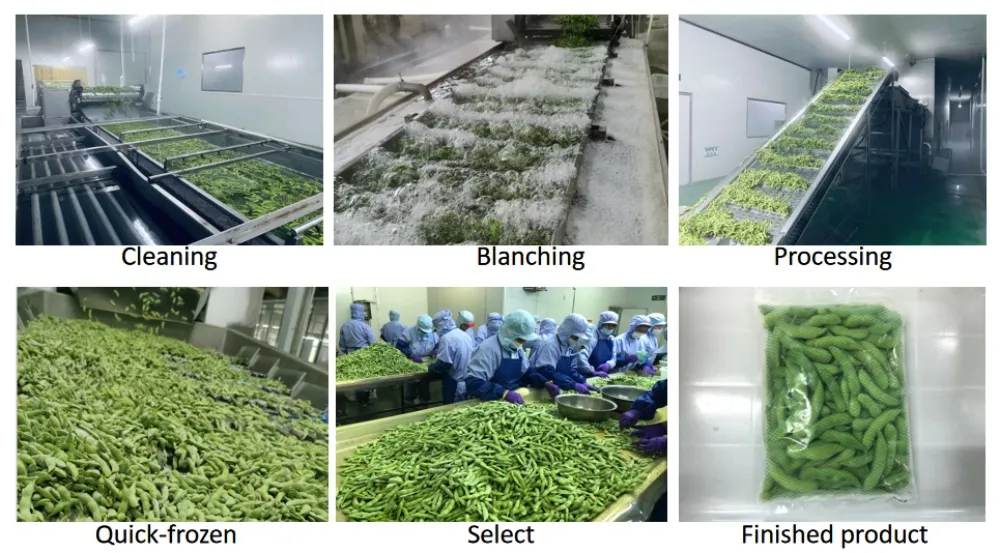 75 and Emerald Varieties of Frozen Vegetable Edamame Pods