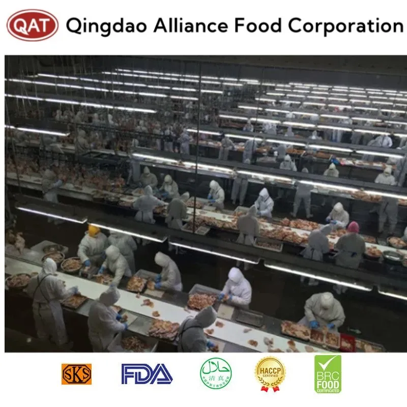 Premium Halal Frozen Chicken Wings for Global Distributors