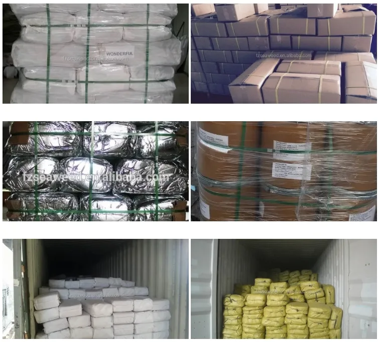 Machine Dried Kelp Shreds 10% Moisture Seaweed for Soup/Salad ISO22000 Factory