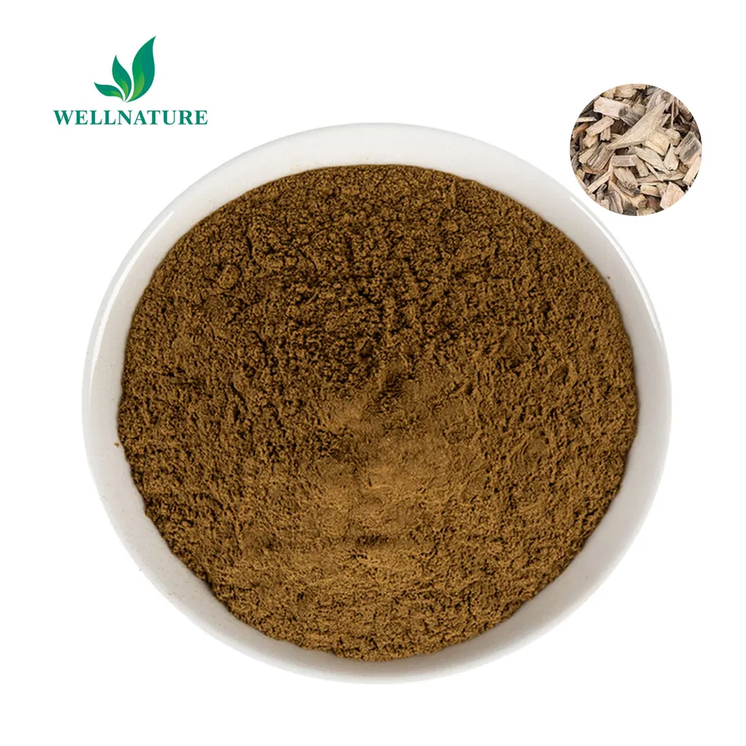 Top Quality Quillaja Saponaria Bark Extract 80% Quillaja Saponin Soapbark Extract