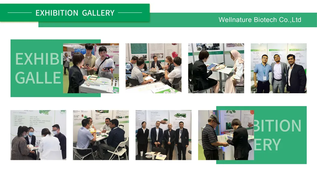 Top Quality Quillaja Saponaria Bark Extract 80% Quillaja Saponin Soapbark Extract