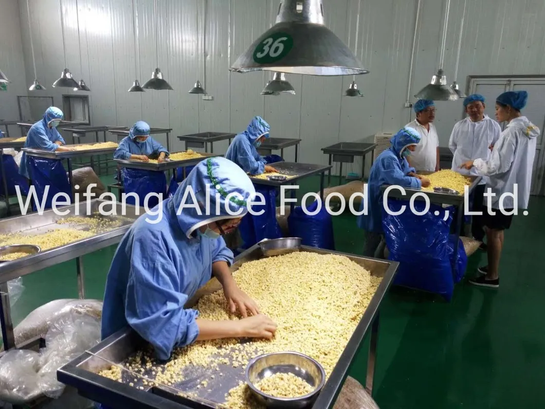 Healthy Food Ingredients Best Price Chinese Dried Apple Ring